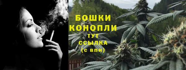 a pvp Новозыбков
