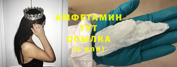 a pvp Новозыбков