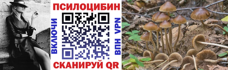 Псилоцибиновые грибы ЛСД  как найти закладки  МЕГА вход  Тырныауз 