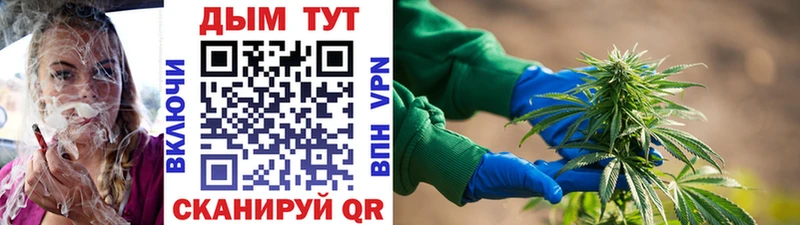 что такое наркотик  Тырныауз  Бошки марихуана MAZAR 